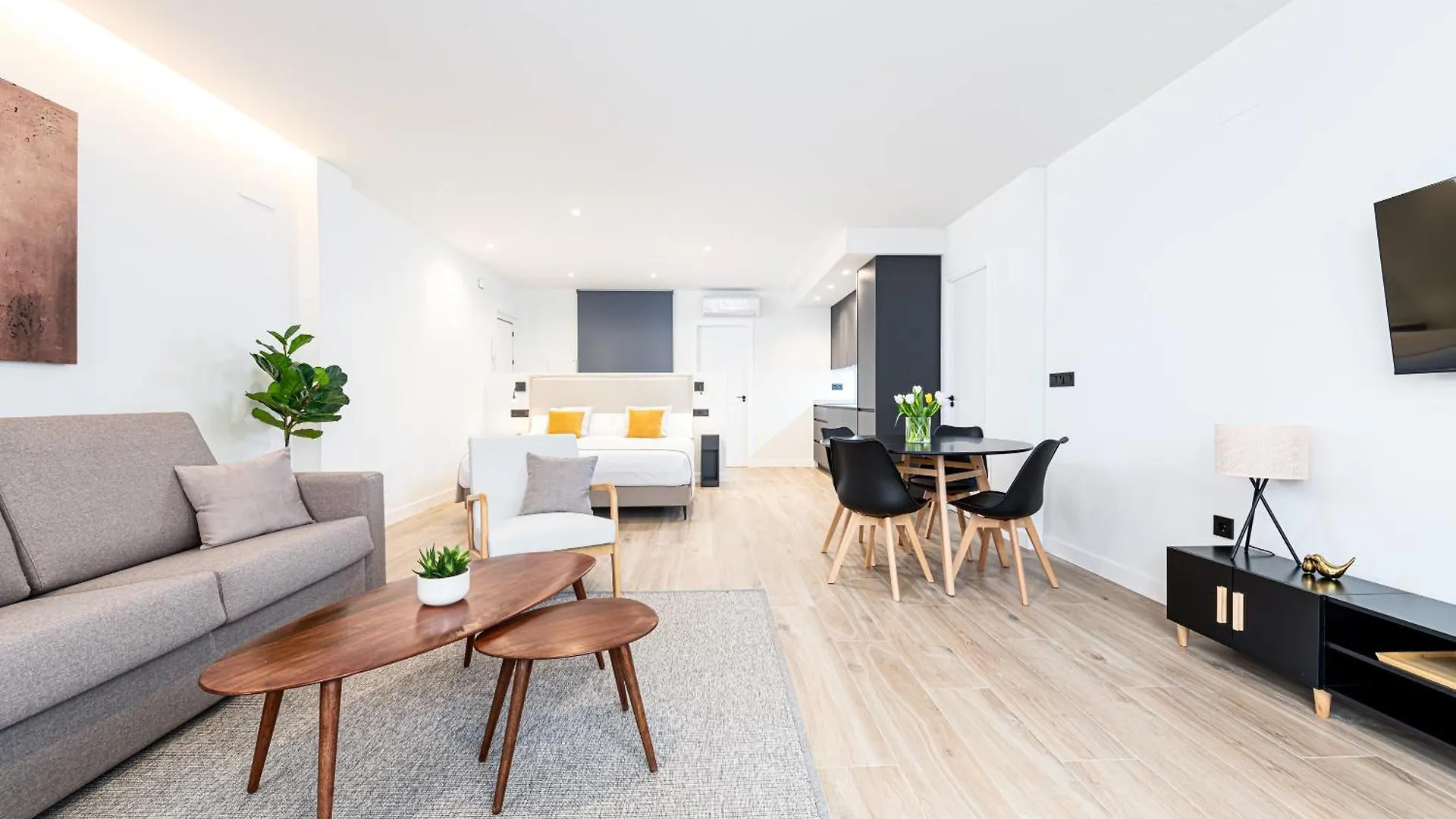 Apartment Iloftmalaga Calle Barroso Spain